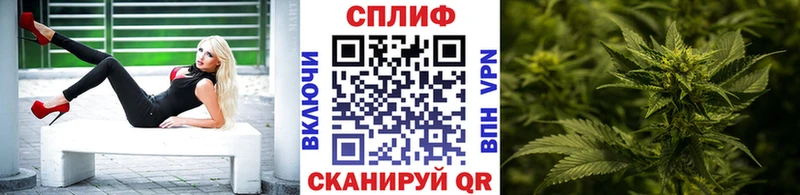APVP Томск
