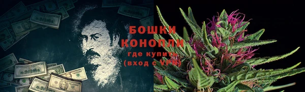 прущая мука Богородицк