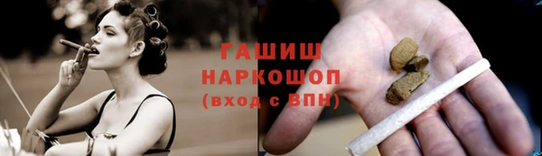 гашик Богородск