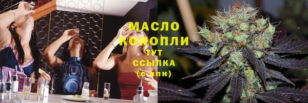гашик Богородск