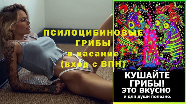прущая мука Богородицк