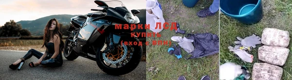 гашик Богородск