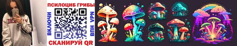 купить закладку  Томск  MEGA ТОР  Галлюциногенные грибы MAGIC MUSHROOMS 
